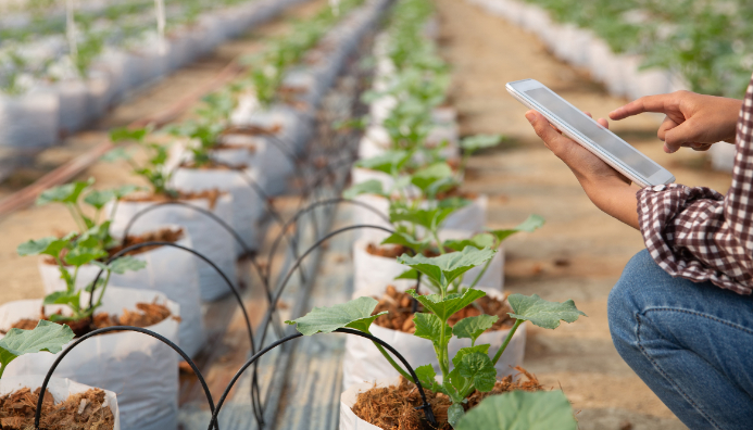 Especialista En Gestión Y Cultivo En Invernaderos-Con Certificación Internacional
